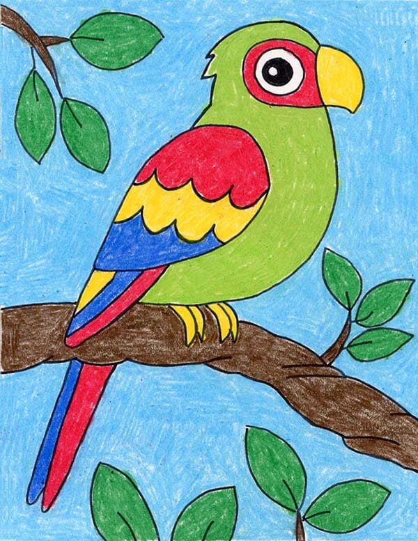 Parrot Drawing Example